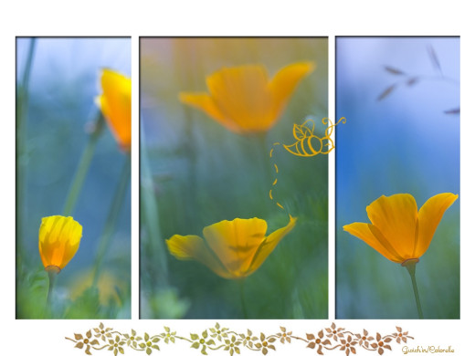 424165 (a): :1024x768